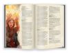 Книга Dungeons & Dragons. Книга гравця (RU) 