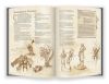 Книга Dungeons & Dragons. Книга гравця (RU) 