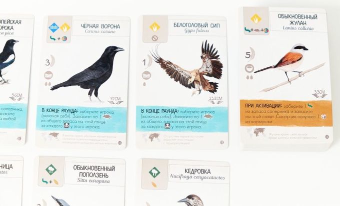 Крила: Птахи Європи (Wingspan: European)