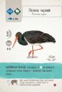 Крила: Птахи Азії (Wingspan Asia)