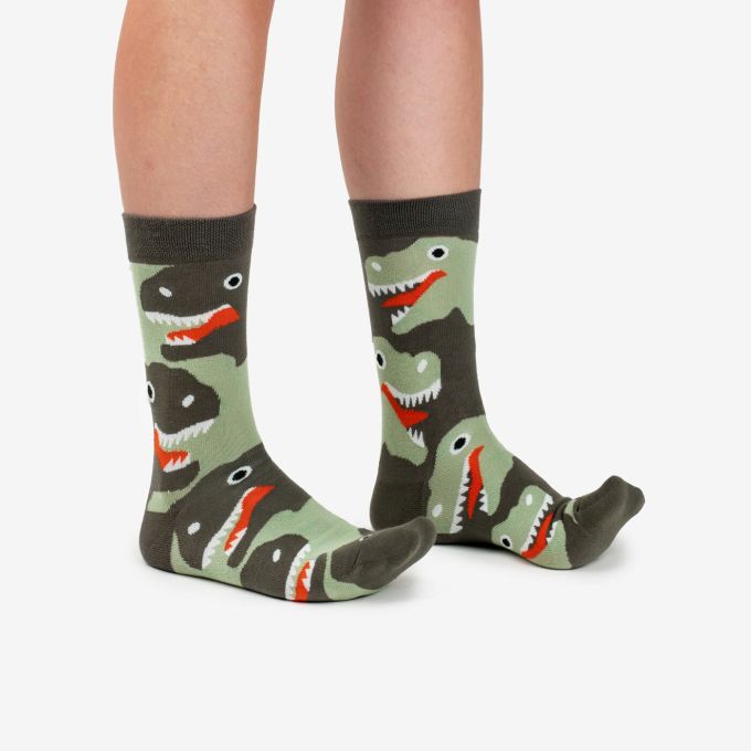 Dodo Socks Набір Evolution