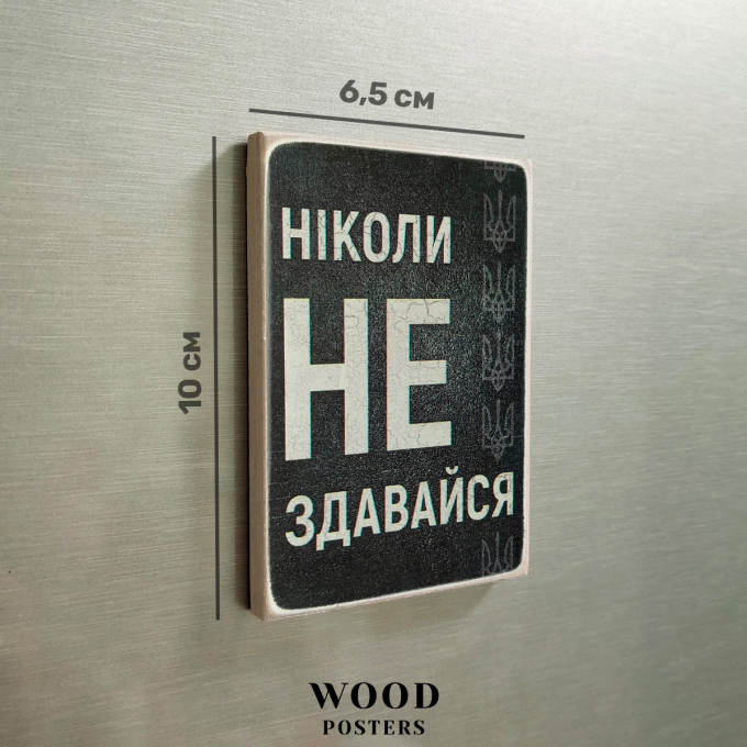 Магніт  "Ніколи не здавайся"
