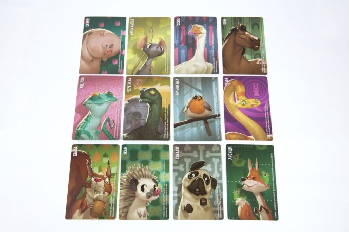 Сіміло. Тварини (Similo. Animals)