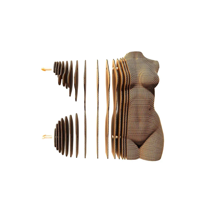 Картонний 3Д пазл "FEMALE TORSO"