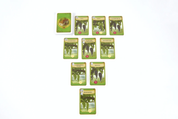 Виноробство (Viticulture)